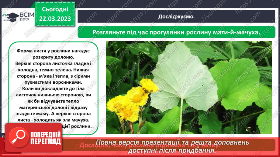 №0085 - Рослини рідного краю16 №0085 - Рослини рідного краю16