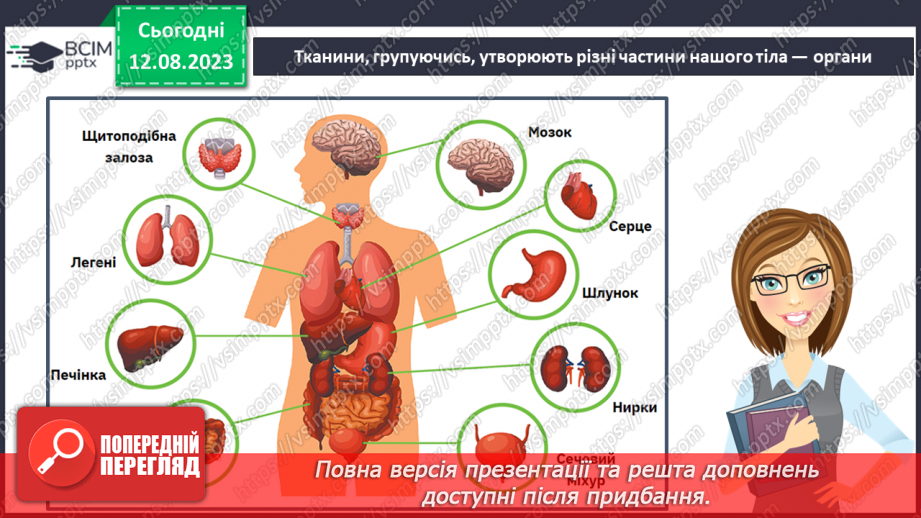 №13 - Людина як організована форма життя. Поняття про основні системи людини та їх значення.9