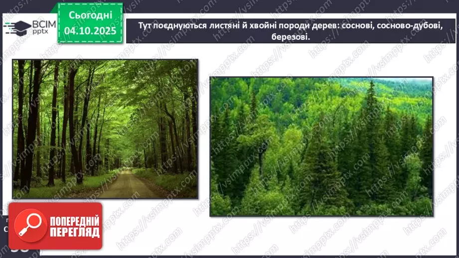 №0020 - Природні зони Землі.17 №0020 - Природні зони Землі.17
