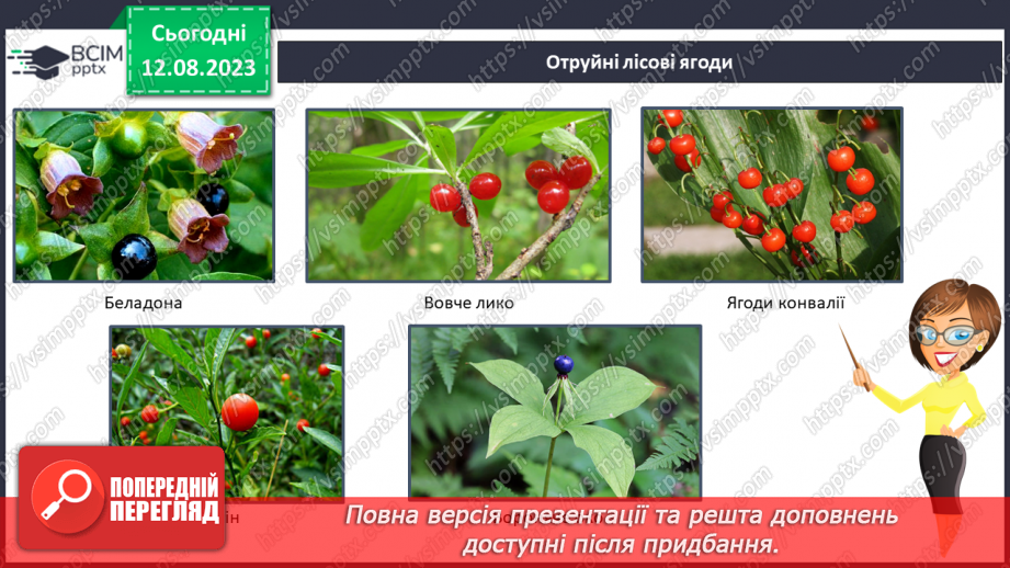 №42 - Ліс як джерело їжі (гриби, ягоди, мед тощо).11