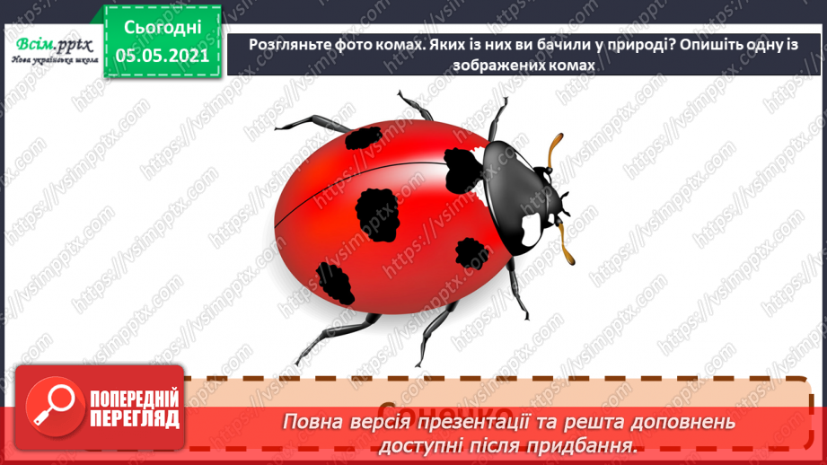 №041 - Різноманітність тварин у природі. Комахи9 №041 - Різноманітність тварин у природі. Комахи9
