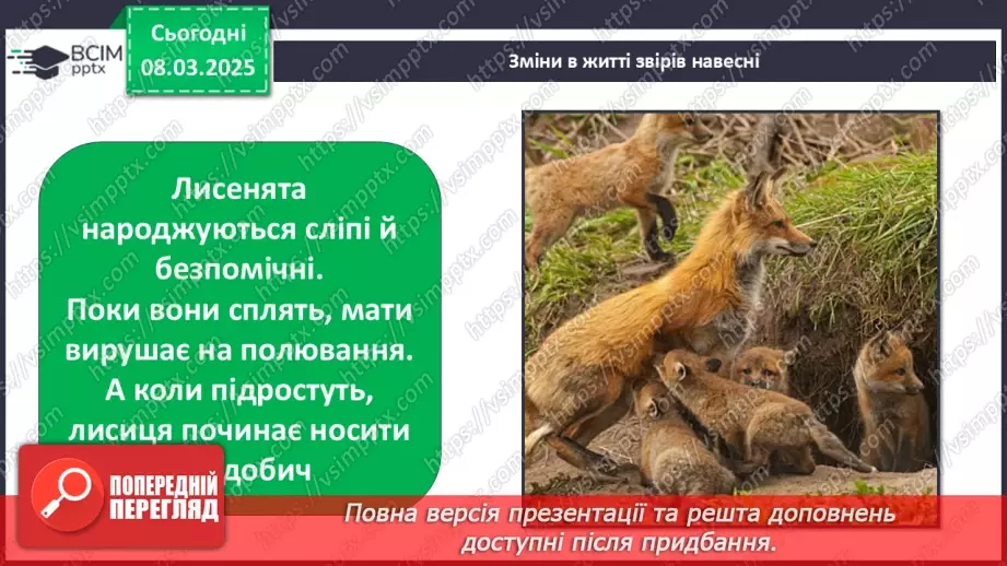 №0078 - Які зміни в житті звірів навесні17 №0078 - Які зміни в житті звірів навесні17