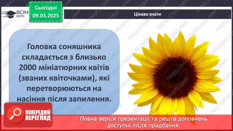 №076 - Як росте і розвивається рослина з насінини. ст.67-6932