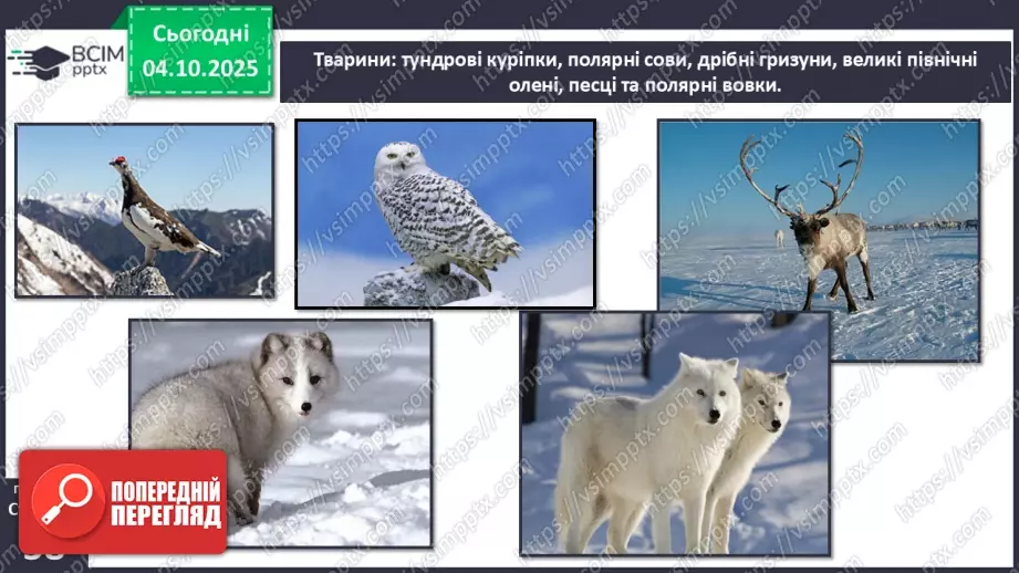 №0020 - Природні зони Землі.15 №0020 - Природні зони Землі.15