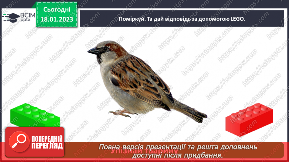 №0058 - Звірі32 №0058 - Звірі32