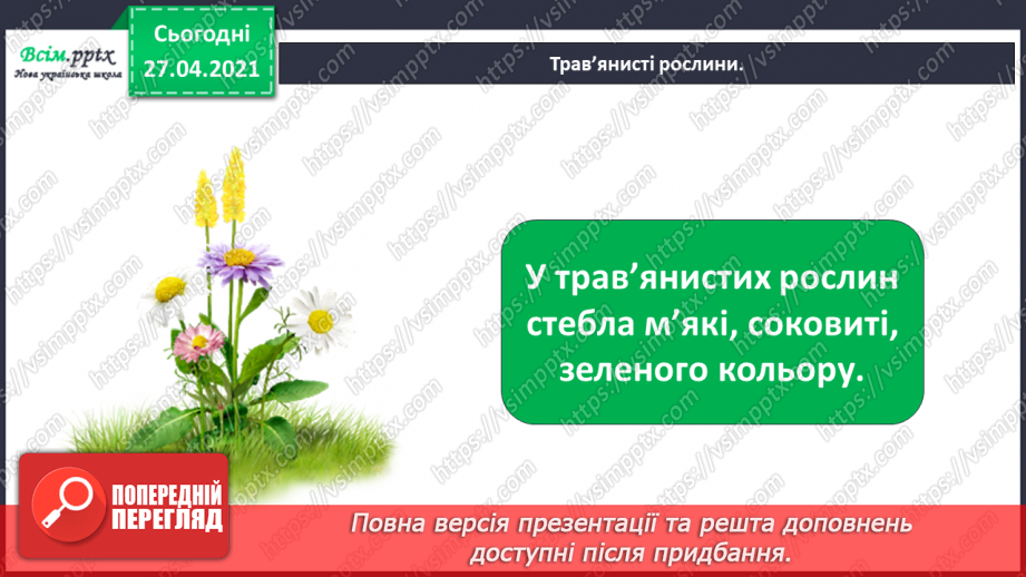 №011 - 012 - Якими бувають рослини? Як розрізняють рослини? Проводимо дослідження. Які умови потрібні рослинам для життя?14