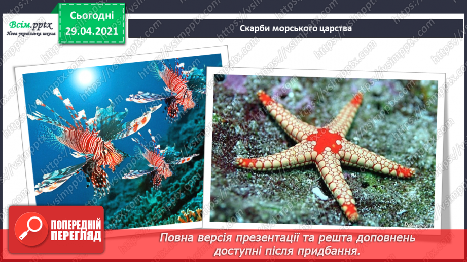 №13 - Мешканці підводного світу. Слухання: музичні фрагменти з мультфільму «У пошуках Немо». Виконання: вивчені раніше пісні про морських мешканців.6 №13 - Мешканці підводного світу. Слухання: музичні фрагменти з мультфільму «У пошуках Немо». Виконання: вивчені раніше пісні про морських мешканців.6