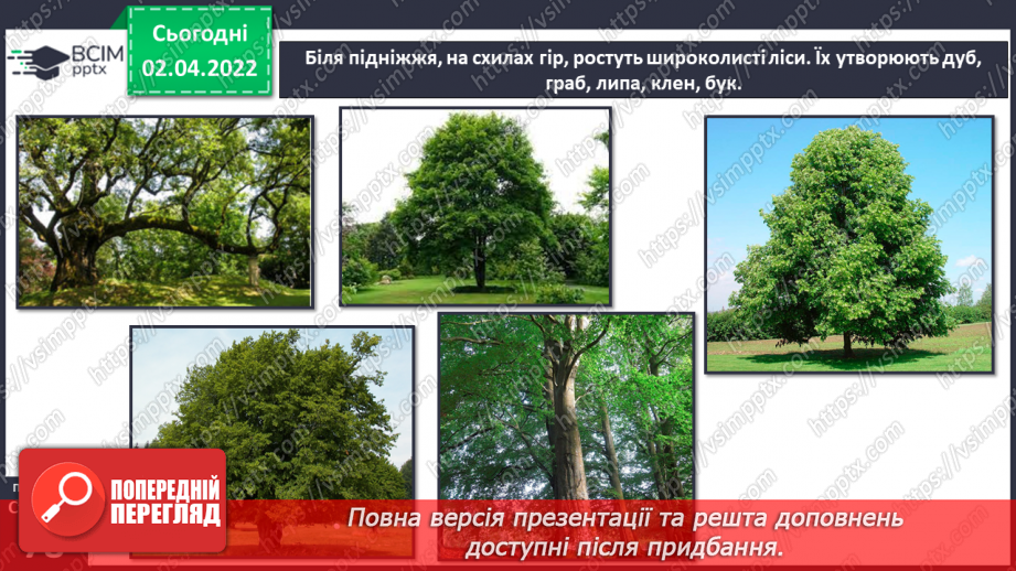 №082 - Українські Карпати6 №082 - Українські Карпати6