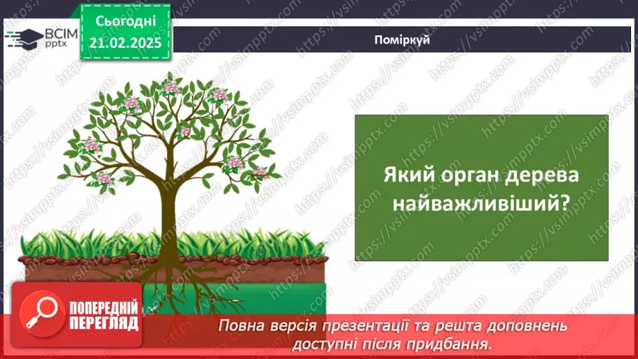 №0071 - Як почуваються рослини навесні11