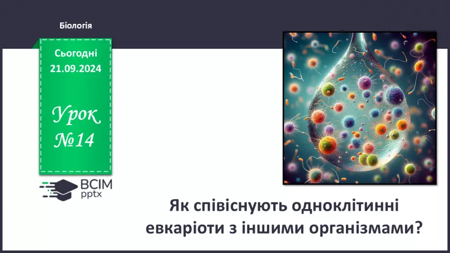 №14 - Як співіснують одноклітинні евкаріоти з іншими організмами?0