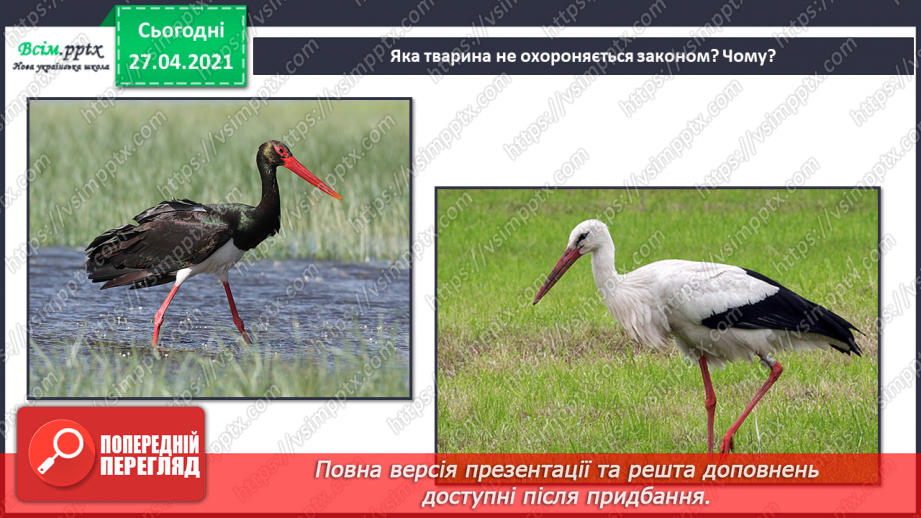 №092 - Чому тваринам загрожує небезпека зникнення?26 №092 - Чому тваринам загрожує небезпека зникнення?26