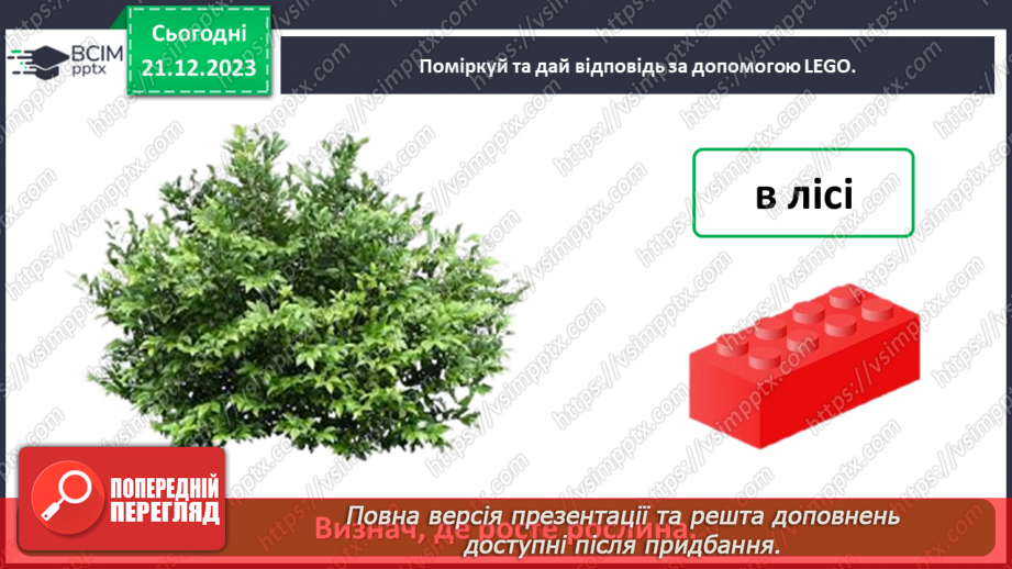 №049 - Чому рослини такі різні19 №049 - Чому рослини такі різні19