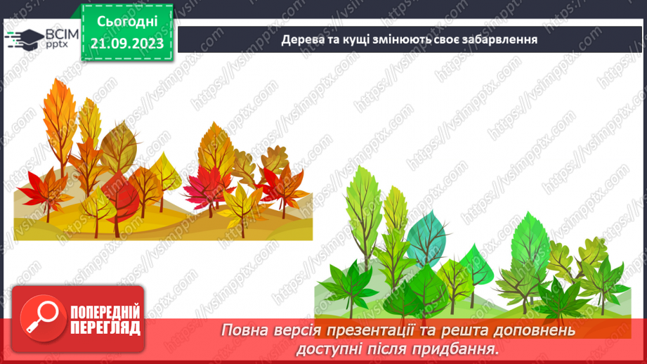 №013 - Що таке явища природи14