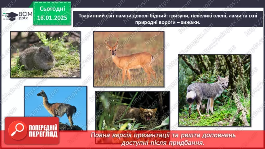 №37 - У чому особливість природних зон Південної Америки.17