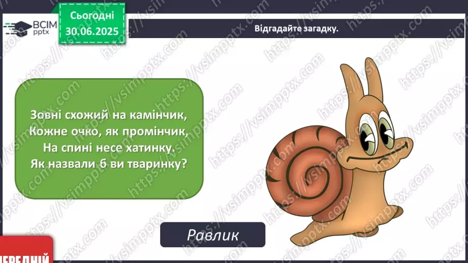 №008 - Товаришуй з кумедними тваринками2 №008 - Товаришуй з кумедними тваринками2
