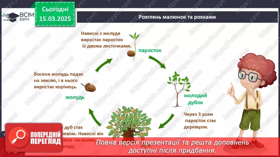 №079 - Царство рослин. Казка про маленького дубка. Як росте дуб12 №079 - Царство рослин. Казка про маленького дубка. Як росте дуб12