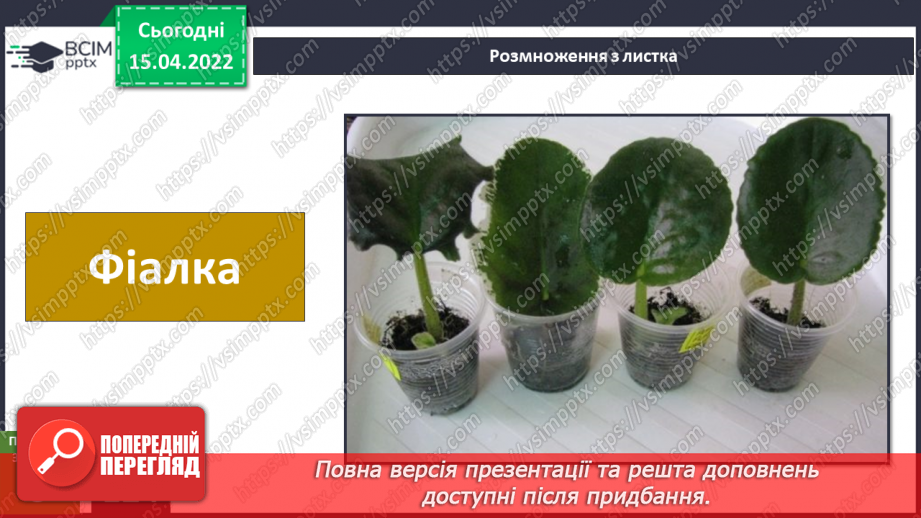 №088 - Що в мене спільного з моїми родичами? Комікс: «Чому потрібно добре готуватися до подорожі?»22 №088 - Що в мене спільного з моїми родичами? Комікс: «Чому потрібно добре готуватися до подорожі?»22