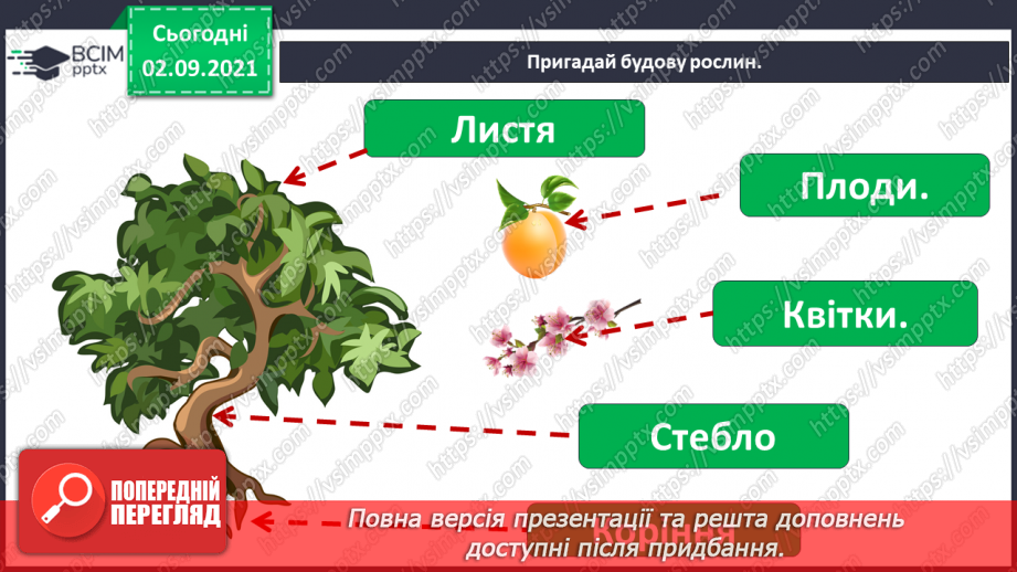 №009 - Як мандрують рослини? Комікс. Професор Фейковський vs 4-А. Раунд 1.4