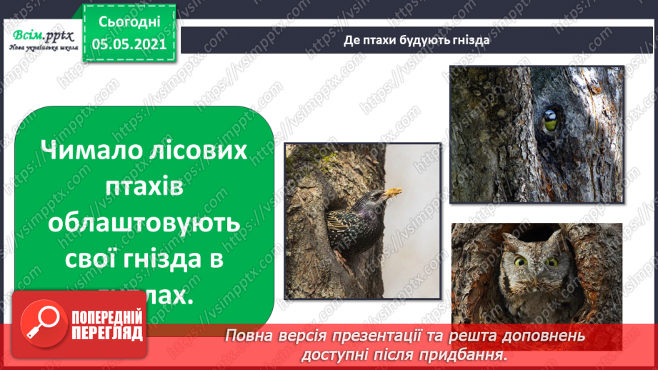 №045 - Різноманітність тварин у природі. Птахи9