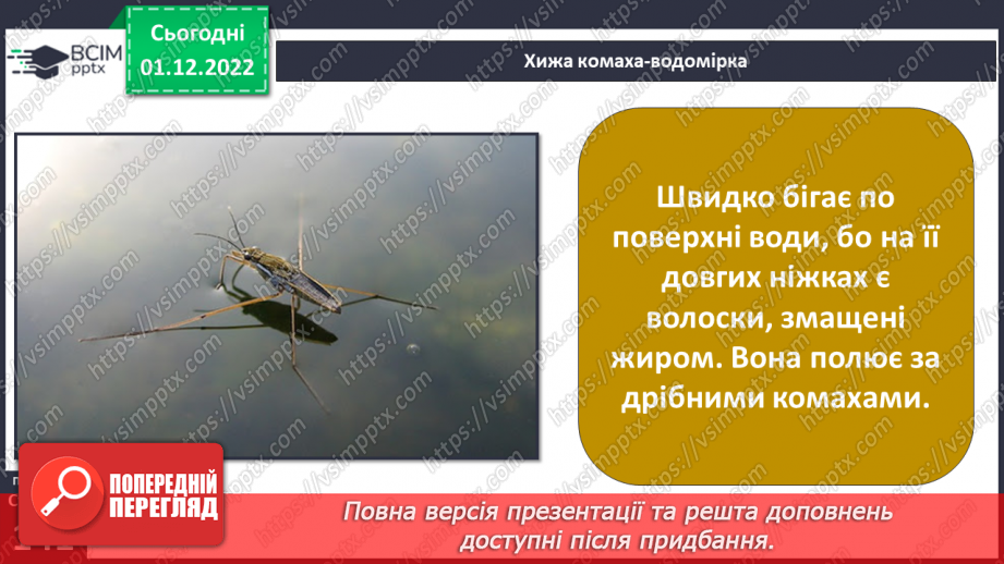 №048 - Мешканці океанів та прісних водойм.20