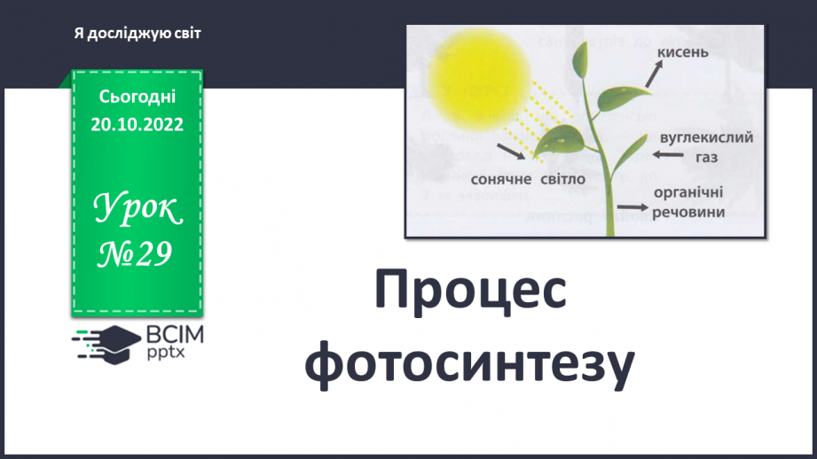 №029 -Процес фотосинтезу.0 №029 -Процес фотосинтезу.0