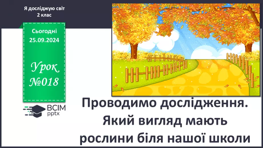 №018 - Проводимо дослідження. Який вигляд мають рослини біля нашої школи?0
