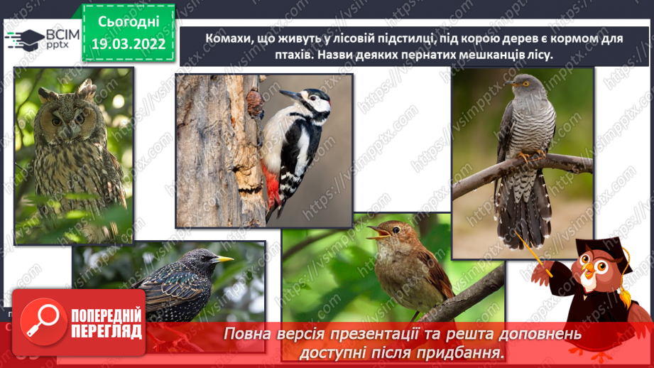 №078 - Природні зони України. Мішані та широколисті ліси.26 №078 - Природні зони України. Мішані та широколисті ліси.26