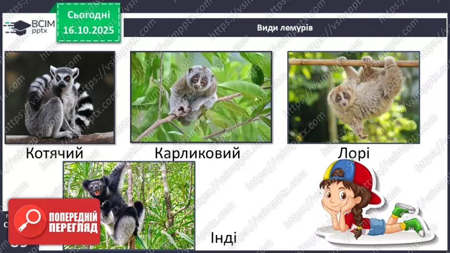 №027 - Рослини і тварини Південної Африки. Мадагаскар27 №027 - Рослини і тварини Південної Африки. Мадагаскар27