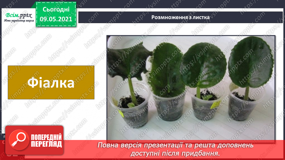 №054 - Як розмножуються рослини?32 №054 - Як розмножуються рослини?32
