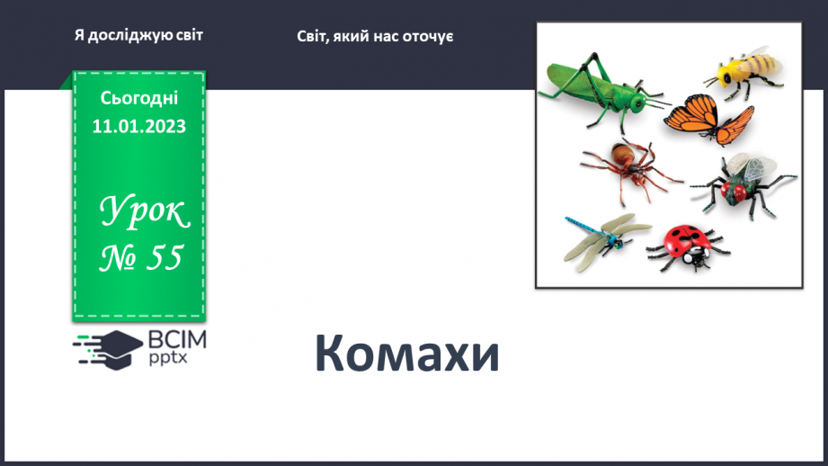№0055 - Комахи0 №0055 - Комахи0