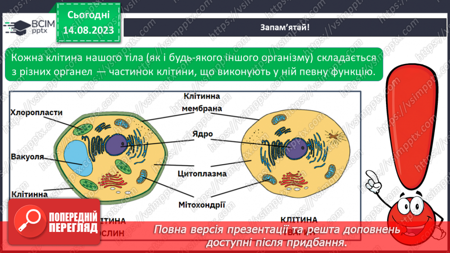 №09 - Різновиди організмів і ознаки живого: віруси, бактерії, гриби, рослини, тварини. Будова клітини.17