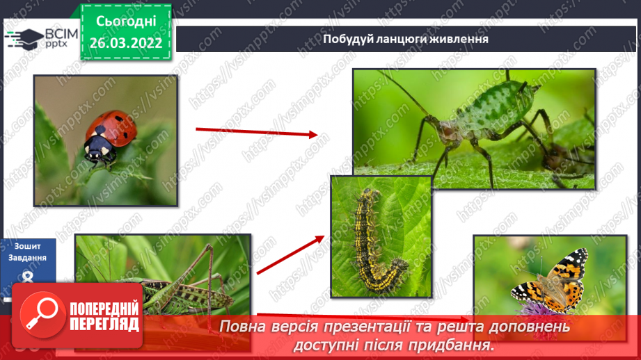 №080 - Лісостеп. Степ29 №080 - Лісостеп. Степ29