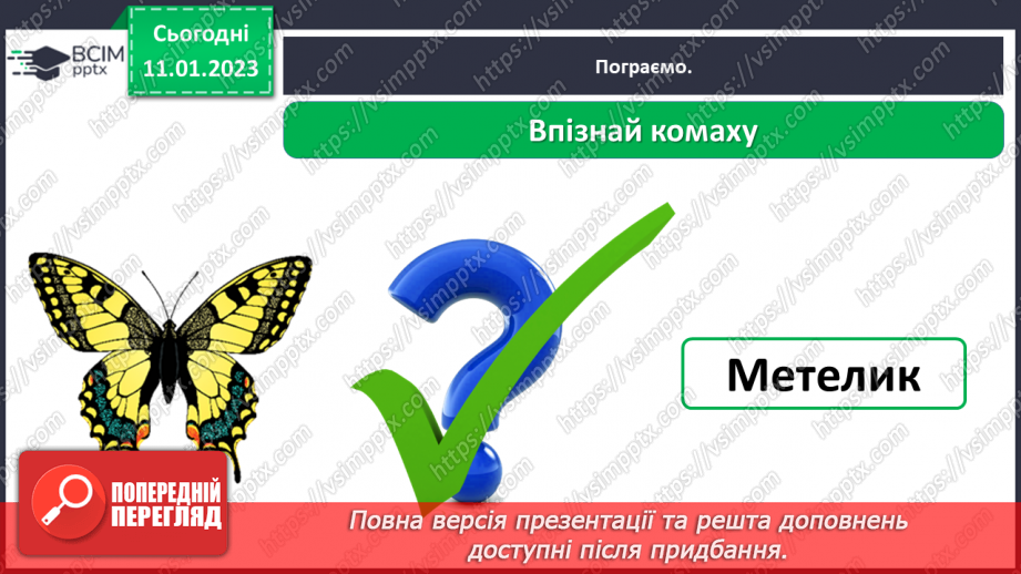 №0055 - Комахи22 №0055 - Комахи22