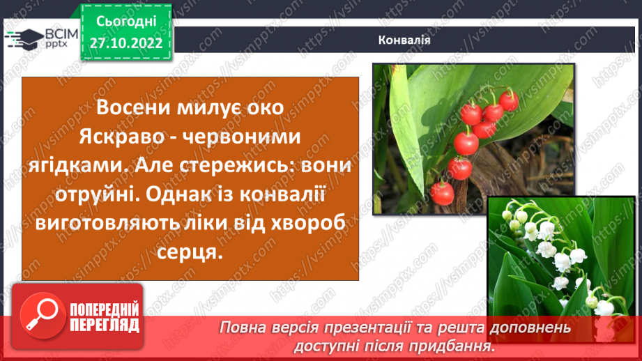 №033 - Будова рослин. Лікарські та отруйні рослини.25 №033 - Будова рослин. Лікарські та отруйні рослини.25