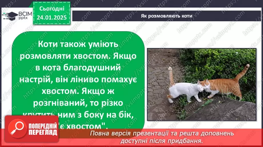 №0059 - Яка користь від знань9 №0059 - Яка користь від знань9