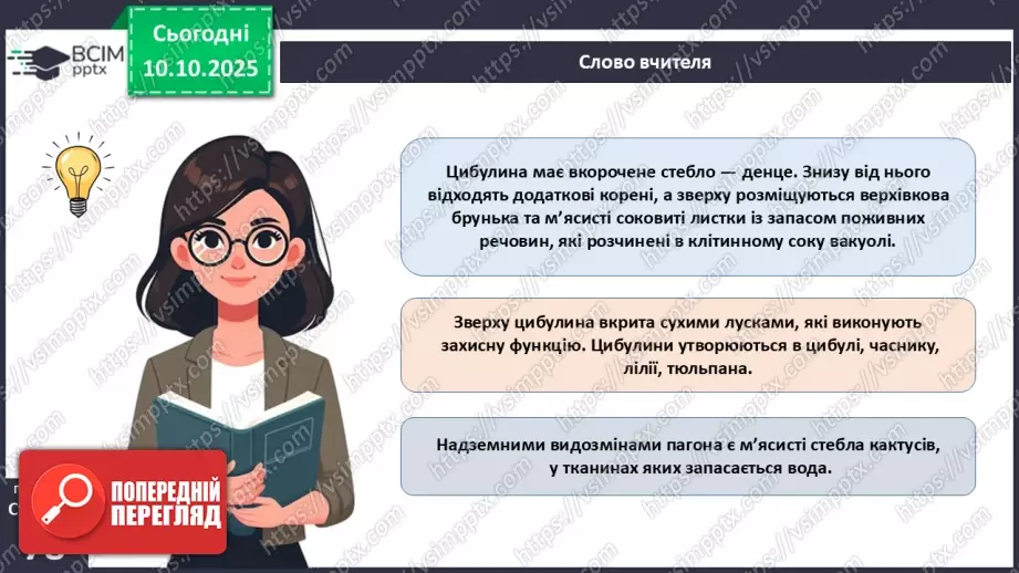 №023 - Покритонасінні рослини: будова бруньки, пагона й листка (продовження).11 №023 - Покритонасінні рослини: будова бруньки, пагона й листка (продовження).11