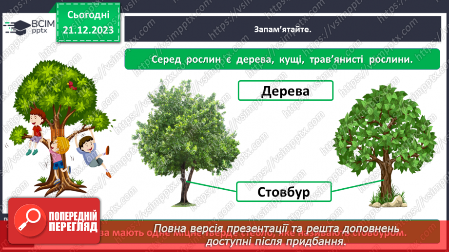 №051 - Які бувають рослини6 №051 - Які бувають рослини6