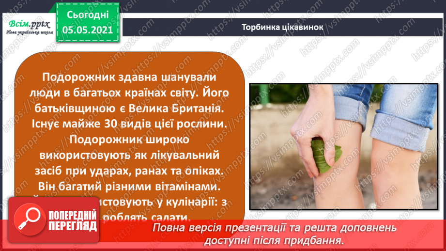 №036 - Квіткові рослини.22
