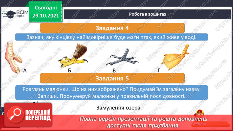 №031-32 - Озера і болота України13 №031-32 - Озера і болота України13