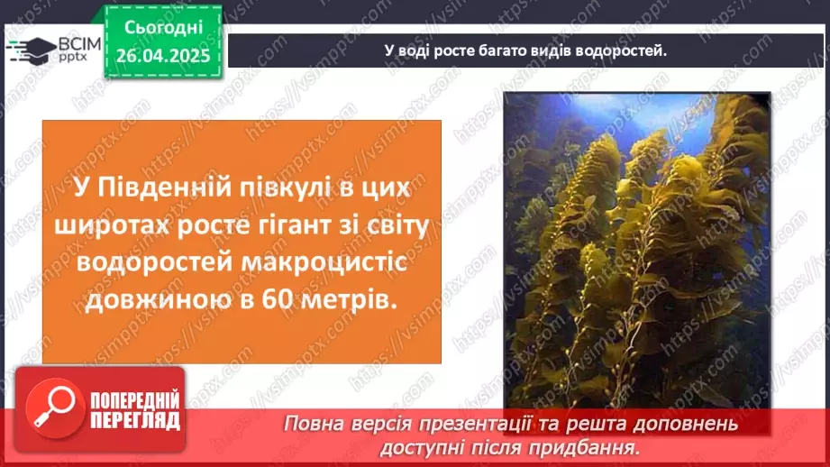 №63 - Чим знаменитий Тихий океан.17