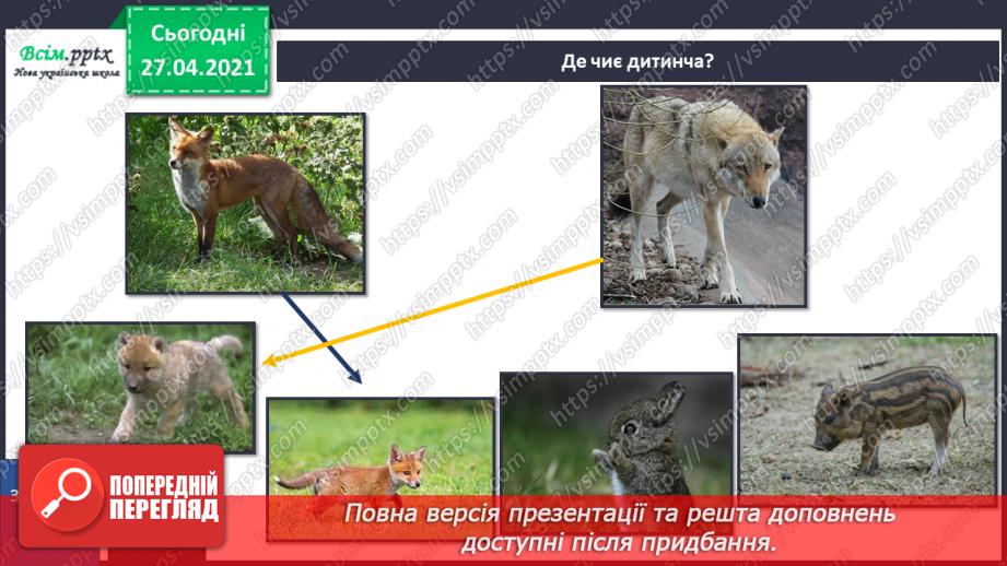 №088-89 - Які турботи приносить весна звірам?27