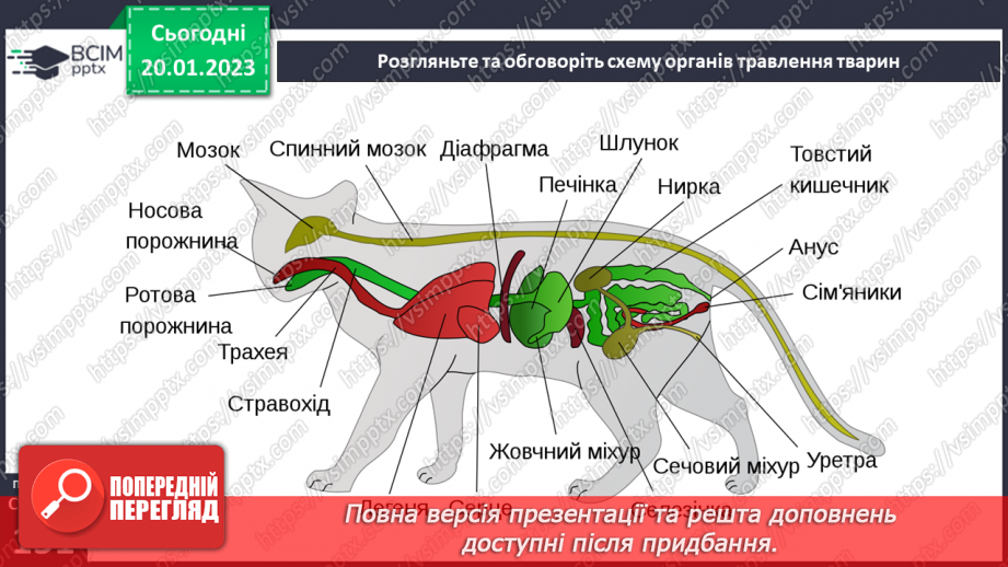 №39-40 - Як живляться та дихають тварини. Корм для тварин та способи його добування.24