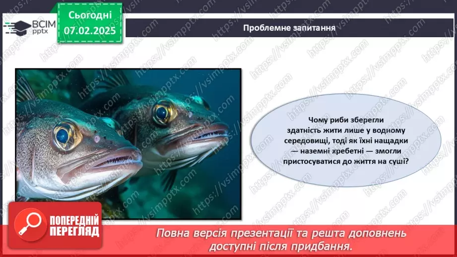 №60 - Риби (продовження).20 №60 - Риби (продовження).20