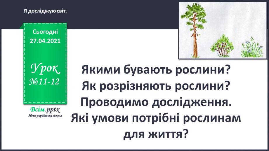 №011 - 012 - Якими бувають рослини? Як розрізняють рослини? Проводимо дослідження. Які умови потрібні рослинам для життя?0