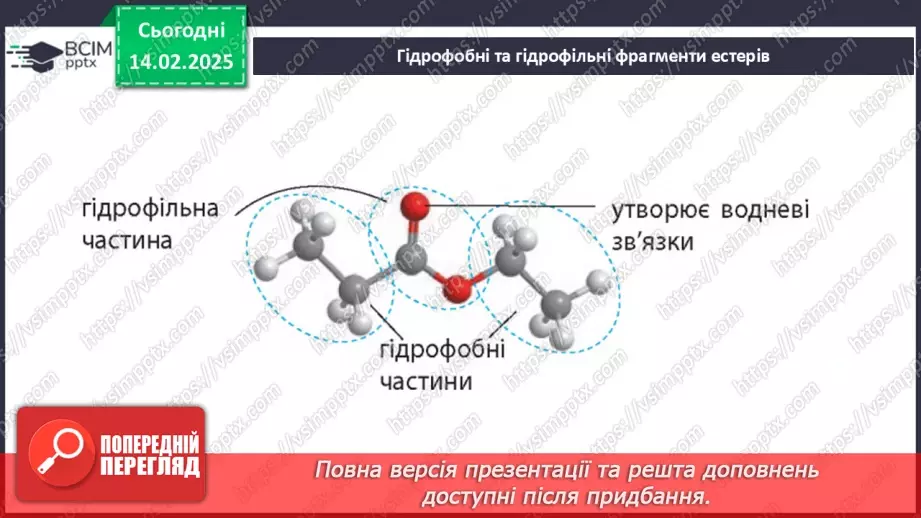 №23 - Естери. Жири11 №23 - Естери. Жири11