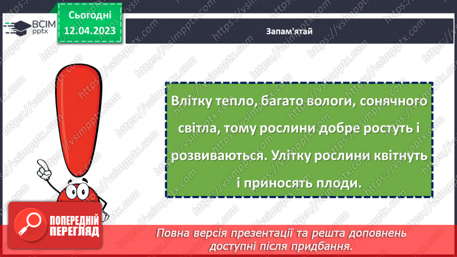 №0095 - Рослини влітку12