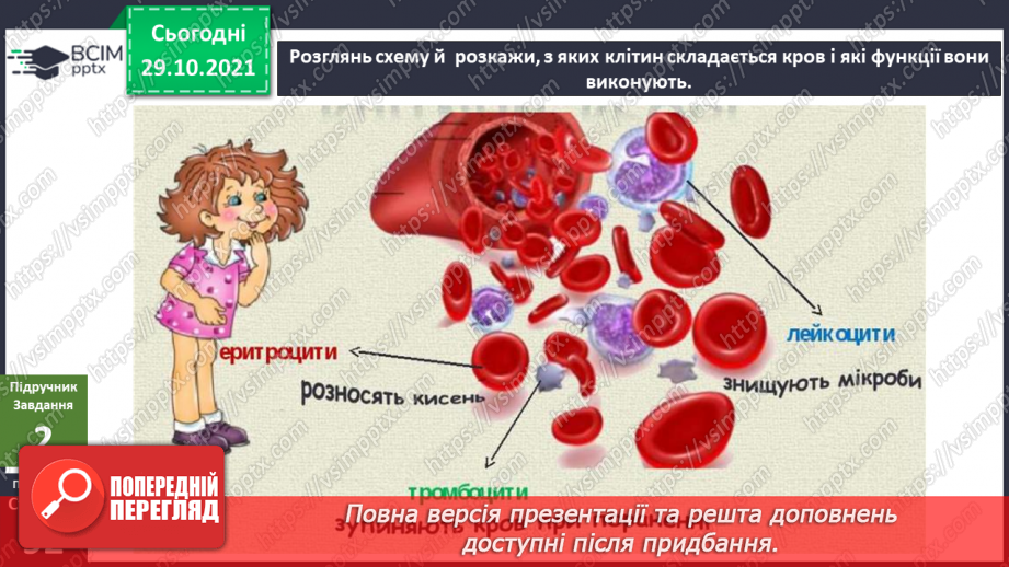 №033 - Чому кров червона?10