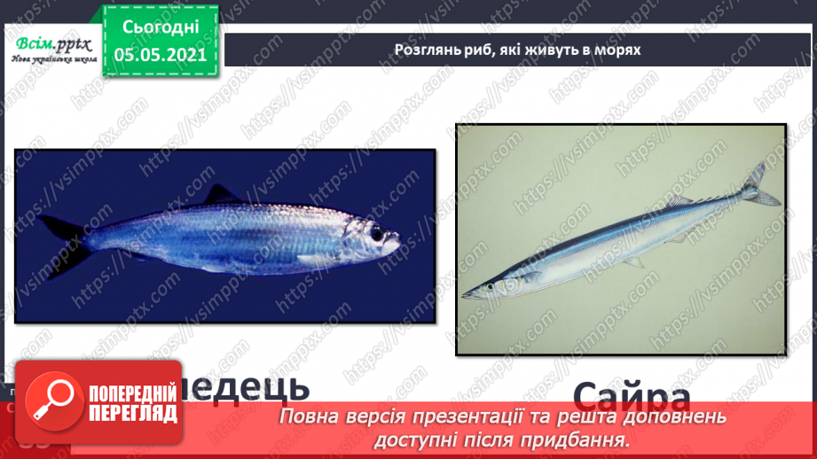 №053-54 - Природне угруповання—море. Подорож- спостереження «Природне угруповання нашої місцевості»16 №053-54 - Природне угруповання—море. Подорож- спостереження «Природне угруповання нашої місцевості»16
