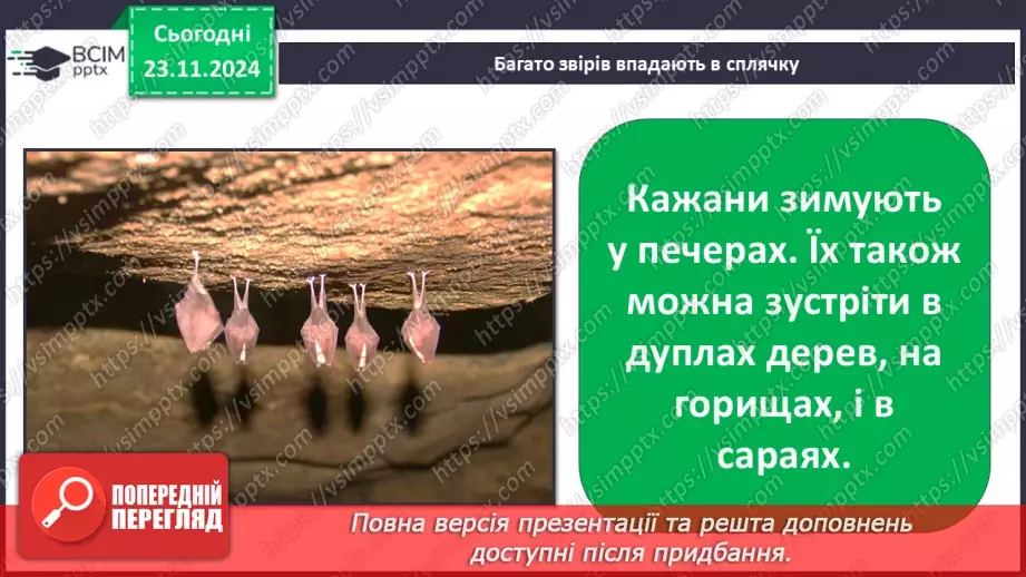 №0037 - Як звірі готуються до зими28 №0037 - Як звірі готуються до зими28