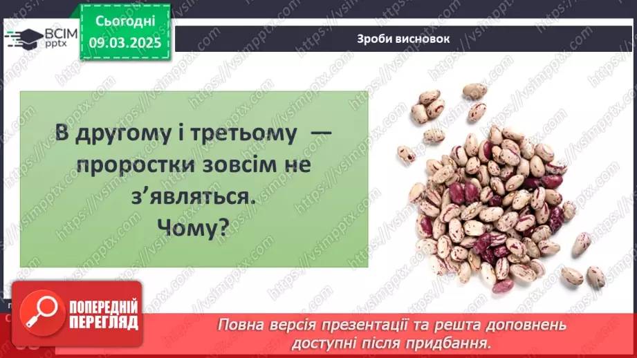№076 - Як росте і розвивається рослина з насінини. ст.67-6911